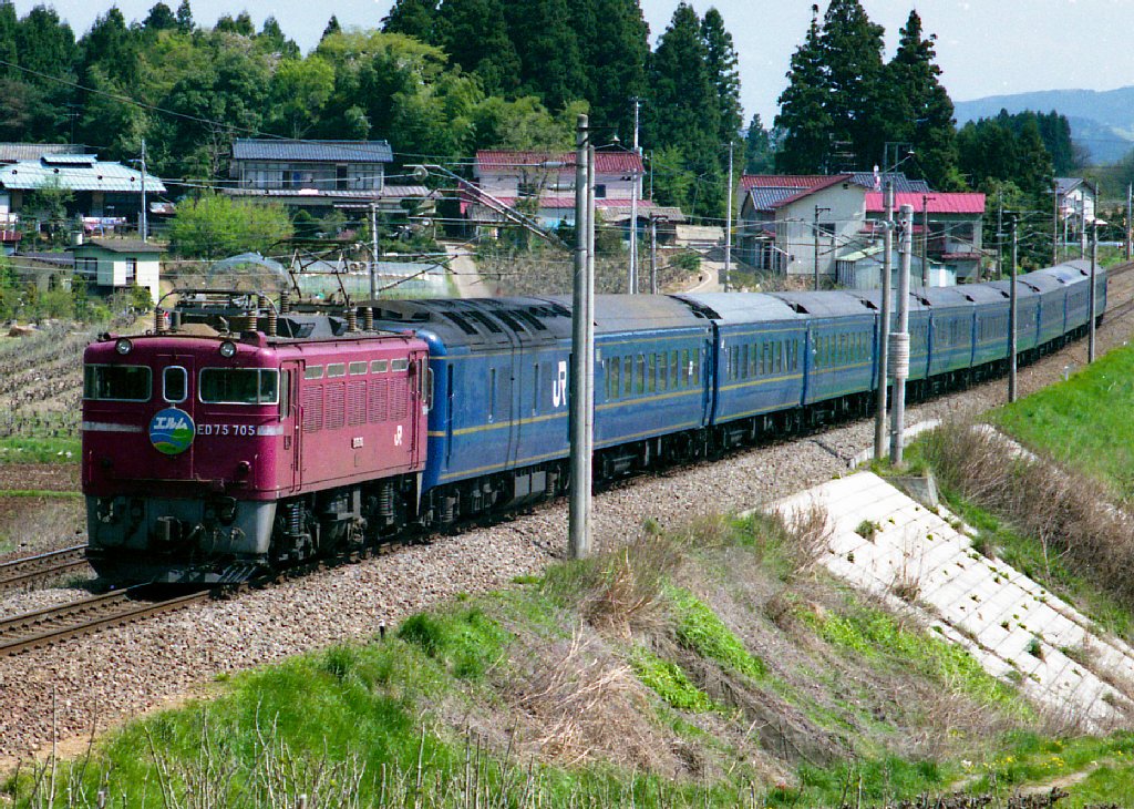 ED75705_ELM.jpg