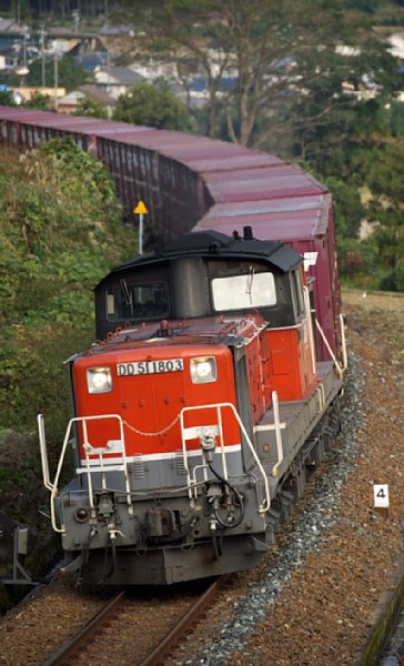 tmDD511803_20121124.jpg