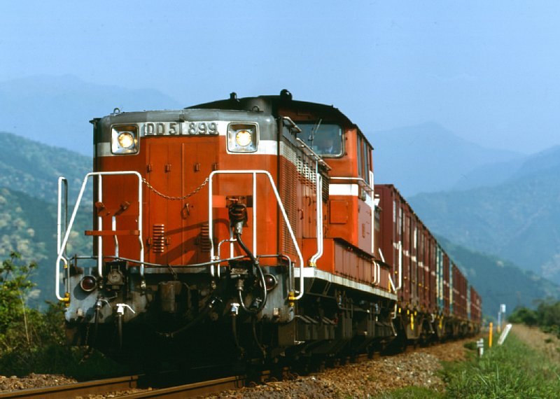 tmDD51899_aiga.jpg