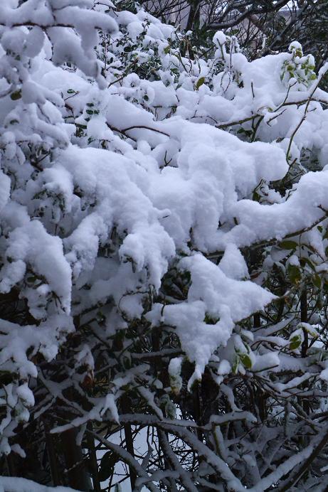 012_20140208151925ab0.jpg