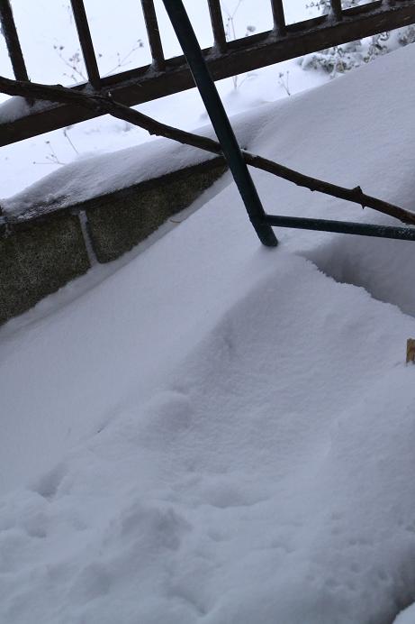 016_20140208152008c5a.jpg