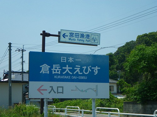 IMGP1389.jpg