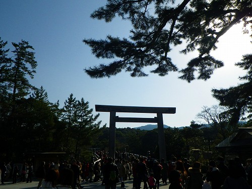 IMGP2742.jpg