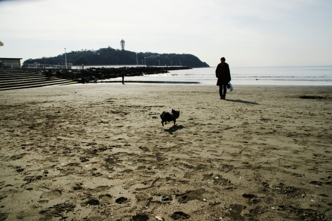 DSC08558江の島