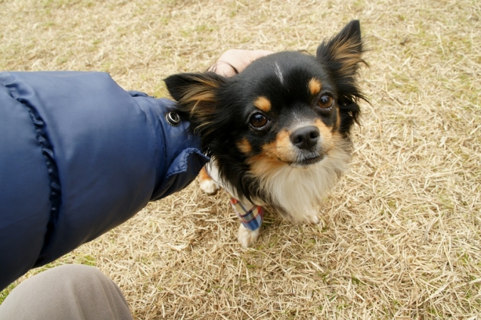 DSC00307アブー