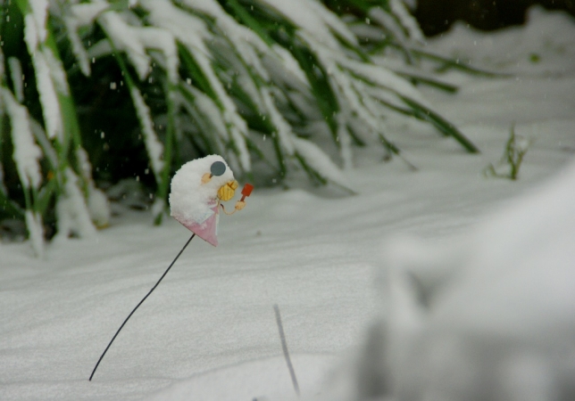 DSC00802東京雪