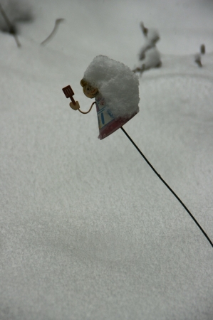 DSC00789東京雪