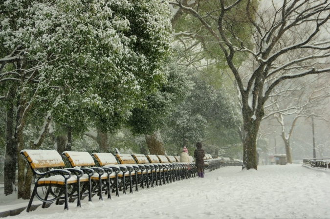 DSC00925東京雪