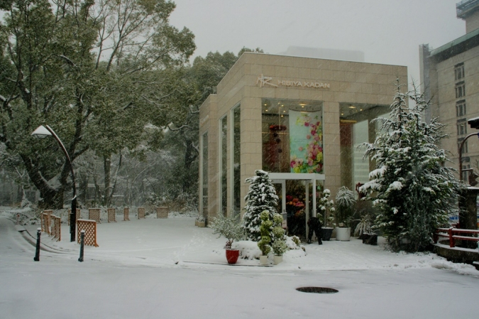 DSC00907東京雪