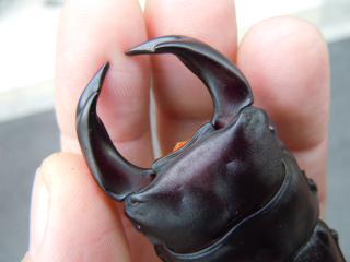 DSCN3310.jpg
