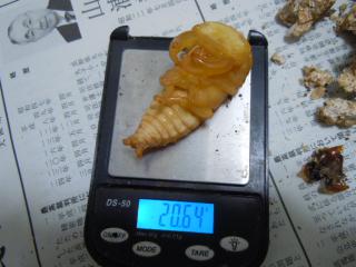DSCN3323.jpg