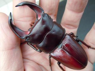 DSCN3335.jpg