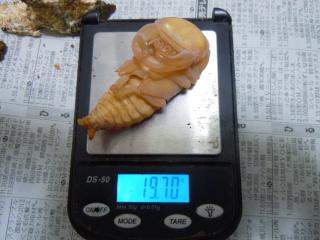 DSCN3395.jpg