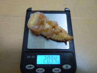 DSCN3402.jpg