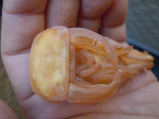DSCN3405.jpg