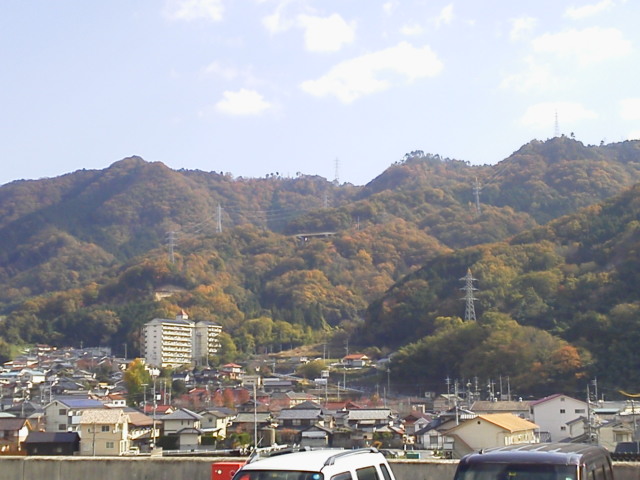 1115porukaoku.jpg