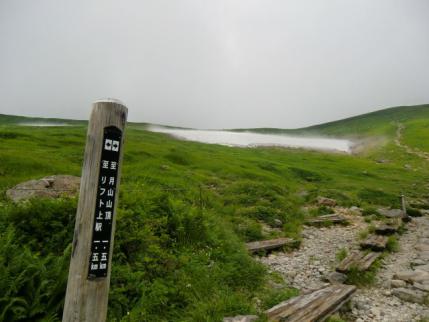 中間点