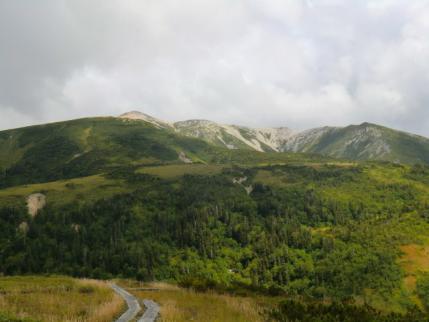 山頂方向