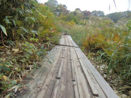 斜めってる木道