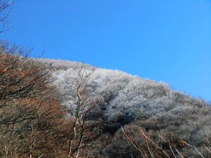 まだ残ってた