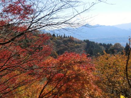 紅葉と後方に武甲山