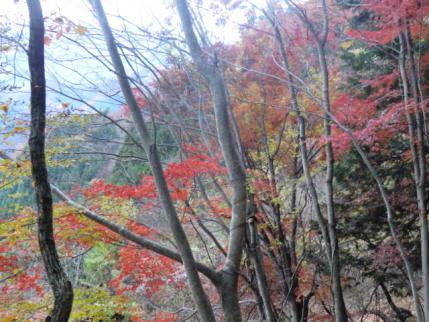登山口近くの紅葉