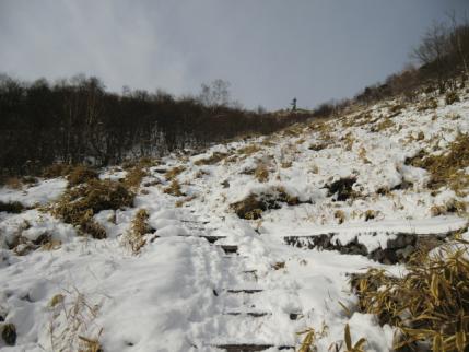 降雪は少しだけ