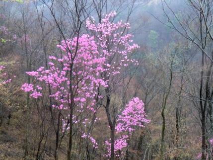 折場登山口2