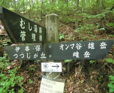 上りはここまで