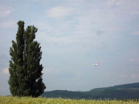 2012HKD_day3011.jpg