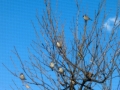 img13877994202.jpg