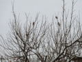 img138779947.jpg