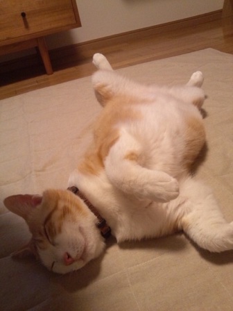 まるちゃん