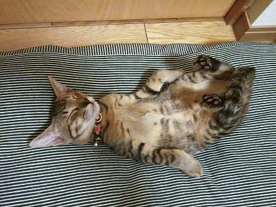 うるる