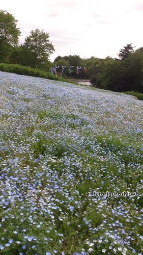 120504-10.jpg