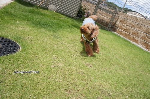 120707-10.jpg