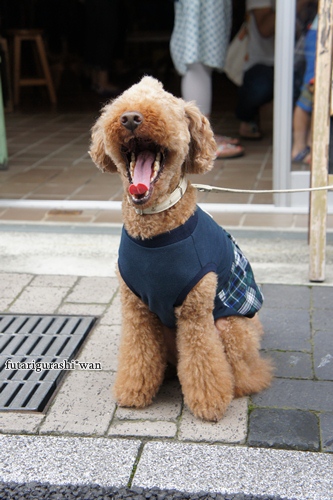 120708-10.jpg