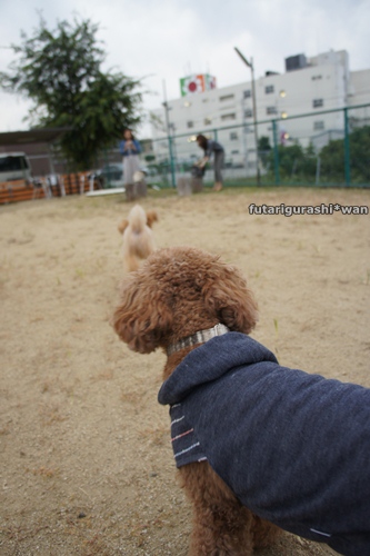 121014-18.jpg
