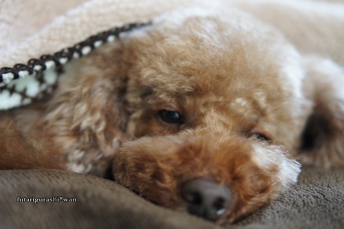 121122-15.jpg
