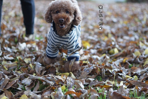 121201-08.jpg