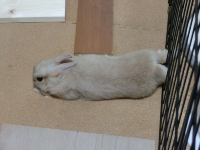 140124-02.jpg