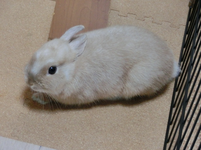 140124-04.jpg