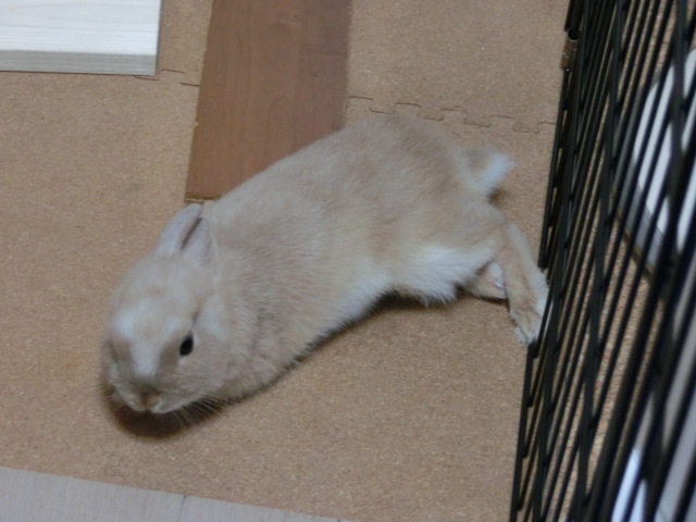 140124-05.jpg