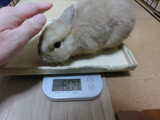 140124.jpg