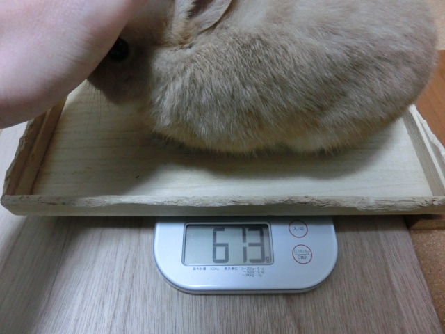 140125-01.jpg