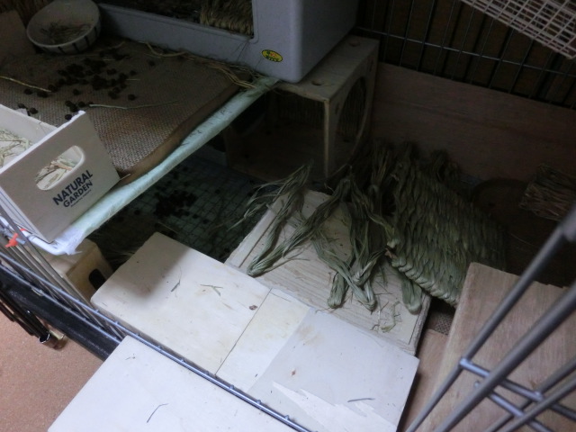 140125-08.jpg