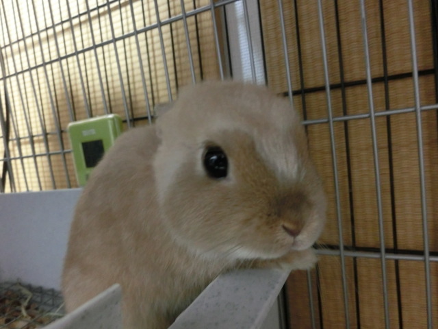 140125-13.jpg