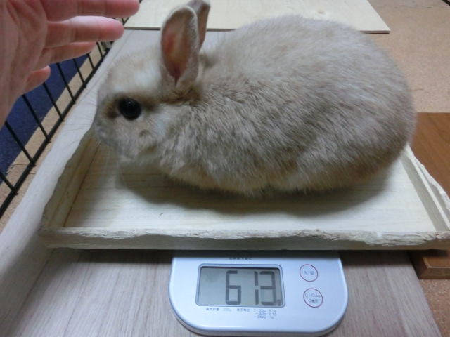 140125.jpg