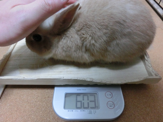 140127.jpg