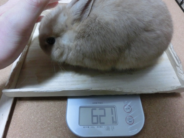 140129.jpg